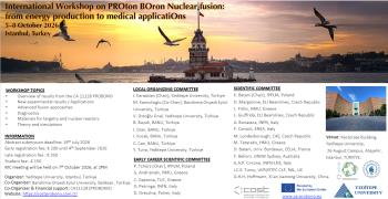 IWPROBONO Çalıştayı